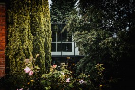 Adam Gibson — Photographer