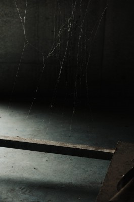 Adam Gibson — Photographer