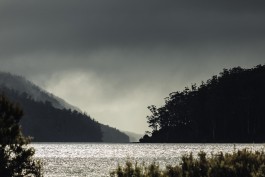 Adam Gibson — Photographer