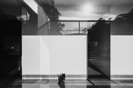 Adam Gibson — Photographer