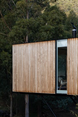 Adam Gibson — Photographer