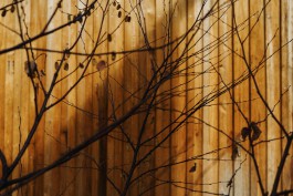 Adam Gibson — Photographer