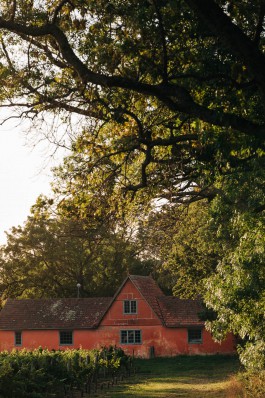 Adam Gibson — Photographer