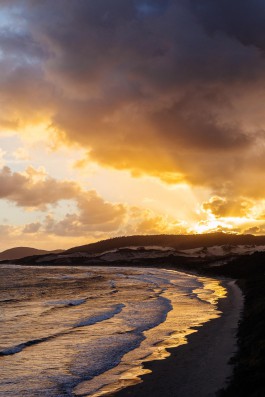 Adam Gibson — Photographer