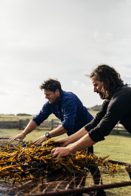 Adam Gibson — Photographer