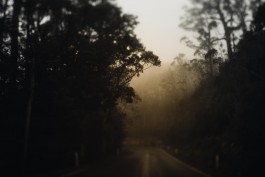 Adam Gibson — Photographer