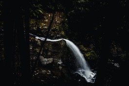 Adam Gibson — Photographer