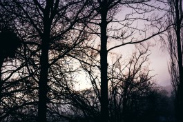 Adam Gibson — Photographer