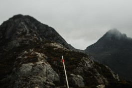 Adam Gibson — Photographer