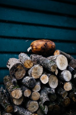 Adam Gibson — Photographer