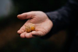 Adam Gibson — Photographer