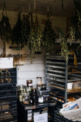 Adam Gibson — Photographer