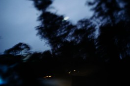 Adam Gibson — Photographer