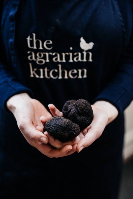 Adam Gibson — Photographer