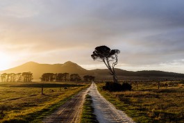 Adam Gibson — Photographer