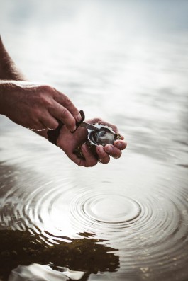 Adam Gibson — Photographer