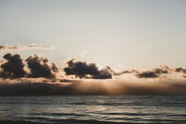 Adam Gibson — Photographer