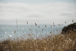 Adam Gibson — Photographer