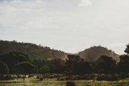 Adam Gibson — Photographer