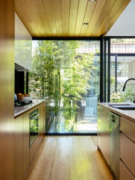 Adam Gibson — Photographer