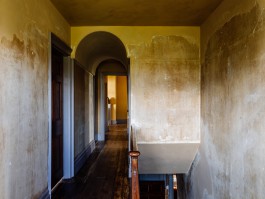 Adam Gibson — Photographer