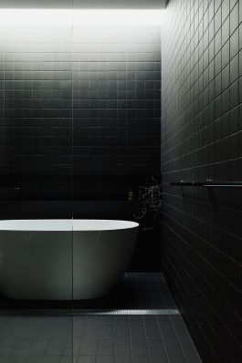 Adam Gibson — Photographer