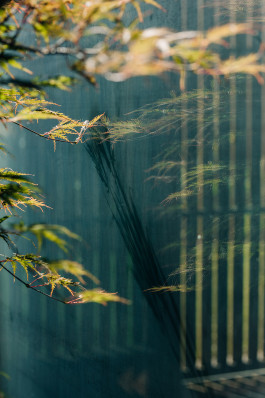 Adam Gibson — Photographer