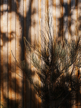 Adam Gibson — Photographer