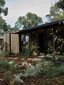 Adam Gibson — Photographer