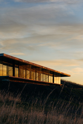 Adam Gibson — Photographer