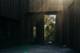 Adam Gibson — Photographer