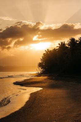 Adam Gibson — Photographer