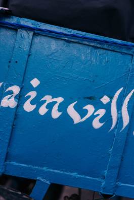 Adam Gibson — Photographer