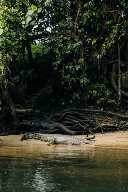 Adam Gibson — Photographer