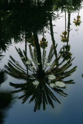 Adam Gibson — Photographer