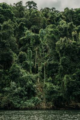 Adam Gibson — Photographer