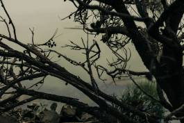 Adam Gibson — Photographer