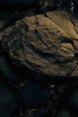 Adam Gibson — Photographer