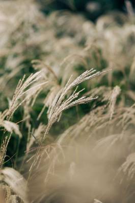 Adam Gibson — Photographer