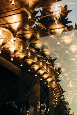 Adam Gibson — Photographer