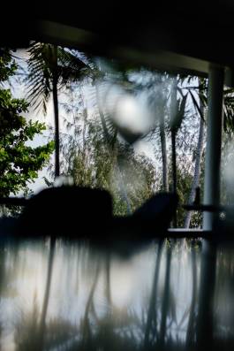 Adam Gibson — Photographer