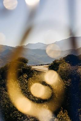 Adam Gibson — Photographer