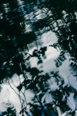 Adam Gibson — Photographer