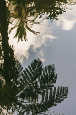 Adam Gibson — Photographer