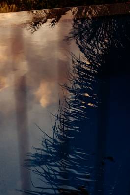 Adam Gibson — Photographer