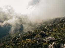 Adam Gibson — Photographer