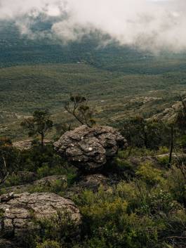 Adam Gibson — Photographer