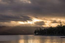 Adam Gibson — Photographer