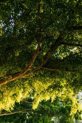 Adam Gibson — Photographer