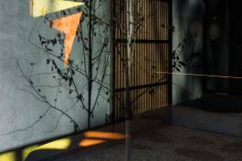 Adam Gibson — Photographer